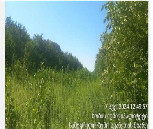 სასოფლო-სამეურნეო (სახნავი) მიწის ნაკვეთი, მუნიციპალიტეტი ხობი, ადმინისტრაციული ერთეული ხამისკური, ბლოკი 011, ნაკვეთი 316