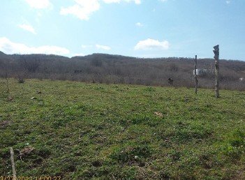 სასოფლო-სამეურნეო მიწის ნაკვეთი, მუნიციპალიტეტი სიღნაღი, სოფელი ძველი ანაგა