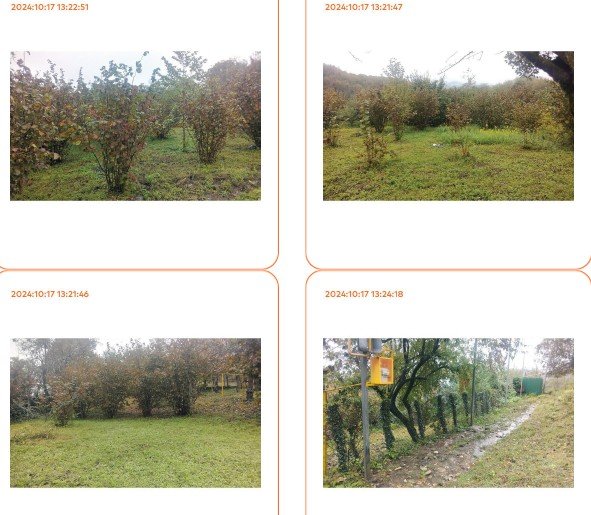 სასოფლო-სამეურნეო (საკარმიდამო) მიწის ნაკვეთი, მუნიციპალიტეტი წყალტუბო, სოფელი ყუმისთავი