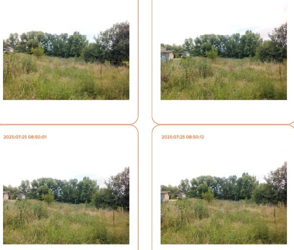 სასოფლო-სამეურნეო (საკარმიდამო) მიწის ნაკვეთი, რაიონი მარნეული, სოფელი ყიზილაჯლო