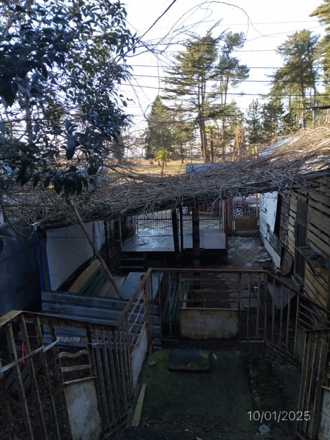 არასასოფლო სამეურნეო მიწის ნაკვეთი შენობით, ქალაქი ქობულეთი, გამზირი აღმაშენებლი, N 460