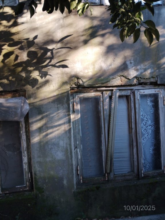 არასასოფლო სამეურნეო მიწის ნაკვეთი შენობით, ქალაქი ქობულეთი, გამზირი აღმაშენებლი, N 460