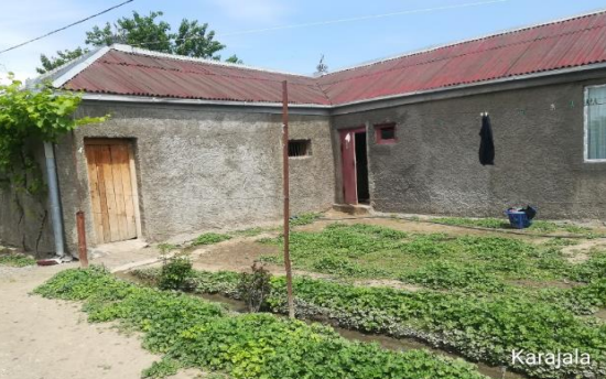 სასოფლო-სამეურნეო (საკარმიდამო) მიწის ნაკვეთი შენობით, თელავი, სოფელი ყარაჯალა