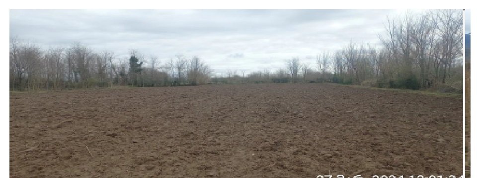 სასოფლო-სამეურნეო (სახნავი) მიწის ნაკვეთი, სენაკის მუნიციპალიტეტი, სოფელი ნოსირი