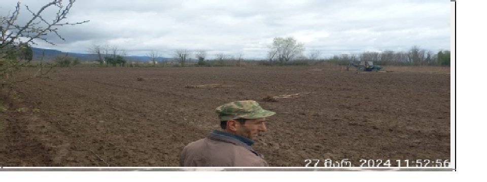 სასოფლო-სამეურნეო (სახნავი) მიწის ნაკვეთი, სენაკის მუნიციპალიტეტი, სოფელი ნოსირი