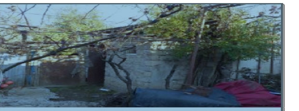 სასოფლო-სამეურნეო (საკარმიდამო) მიწის ნაკვეთი შენობით, კასპის მუნიციპალიტეტი, სოფელი სამთავისი, 1-ლი ქუჩის II შესახვევი, N 16