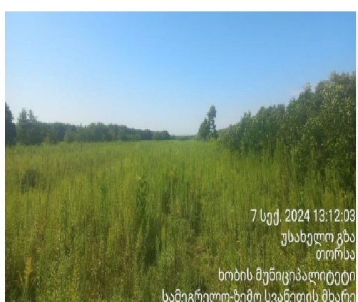 სასოფლო-სამეურნეო (სახნავი) მიწის ნაკვეთი, მუნიციპალიტეტი ხობი, ადმინისტრაციული ერთეული ხამისკური, ბლოკი 039, ნაკვეთი 289