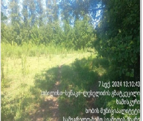 სასოფლო-სამეურნეო (სახნავი) მიწის ნაკვეთი, მუნიციპალიტეტი ხობი, ადმინისტრაციული ერთეული ხამისკური, ბლოკი 039, ნაკვეთი 289