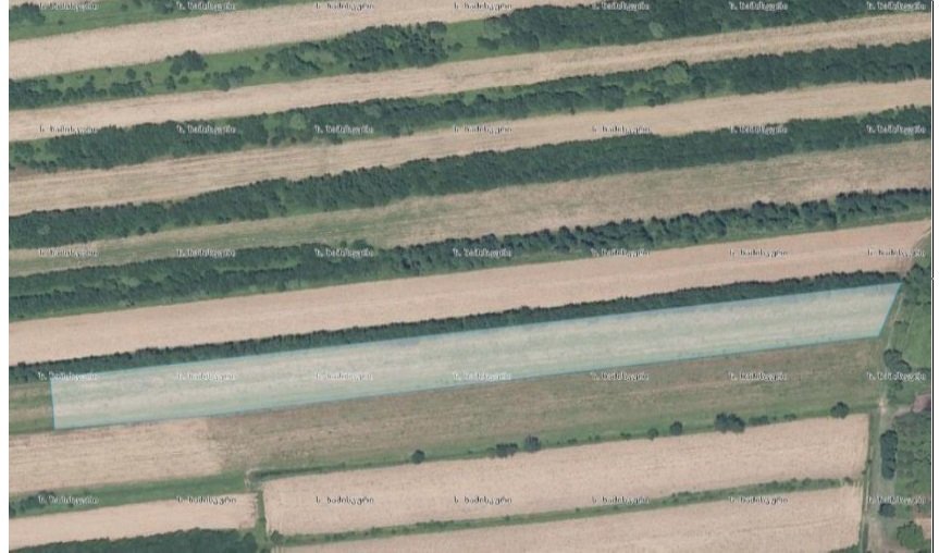 სასოფლო-სამეურნეო (სახნავი) მიწის ნაკვეთი, მუნიციპალიტეტი ხობი, ადმინისტრაციული ერთეული ხამისკური, ბლოკი 039, ნაკვეთი 289