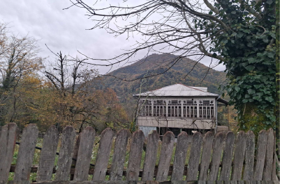 სასოფლო-სამეურნეო მიწის ნაკვეთი შენობით, ხარაგაულის მუნიციპალიტეტი, სოფელი ფარცხნალი, მე-3 ქუჩის I შესახვევი, N 8