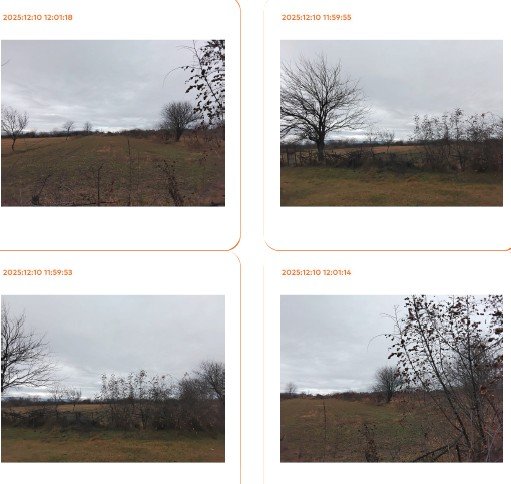 სასოფლო-სამეურნეო მიწის ნაკვეთი, მცხეთა, სოფელი ერედა