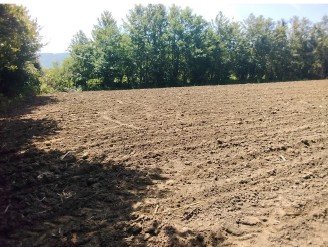 სასოფლო-სამეურნეო მიწის ნაკვეთი, ქალაქი ლანჩხუთი