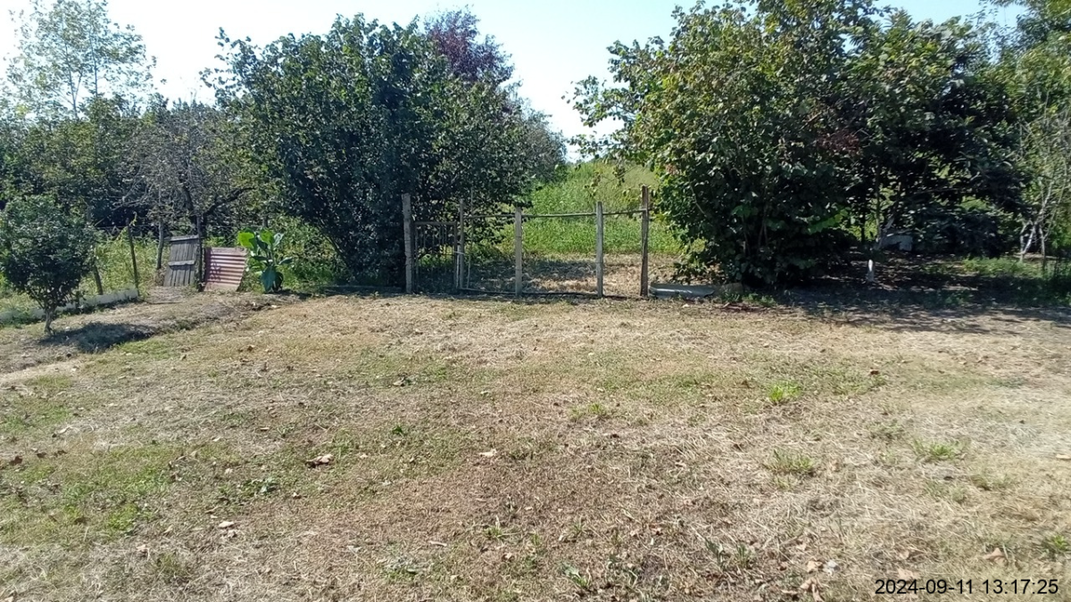 სასოფლო-სამეურნეო (საკარმიდამო) მიწის ნაკვეთი შენობით, მუნიციპალიტეტი ხობი, ადმინისტრაციული ერთეული ახალი სოფელი, ნაკვეთი 064