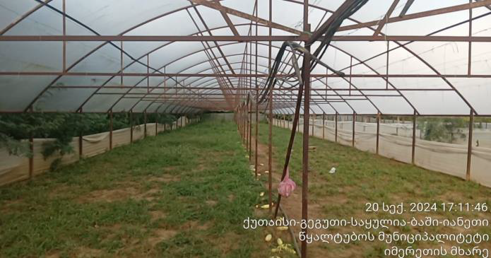 სასოფლო-სამეურნეო მიწის ნაკვეთი, რაიონი წყალტუბო, სოფელი ტყაჩირი