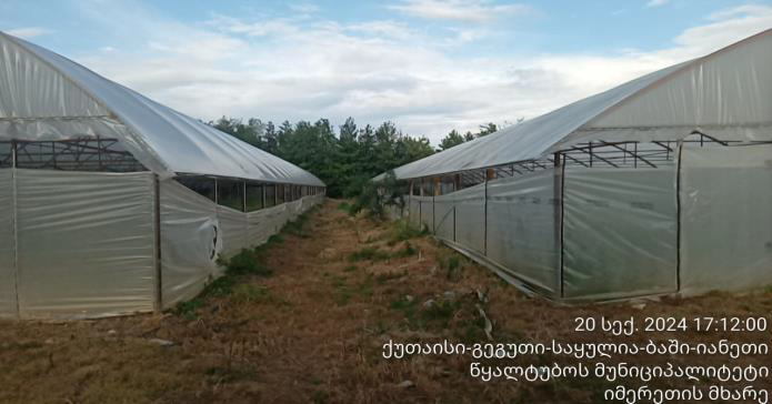 სასოფლო-სამეურნეო მიწის ნაკვეთი, რაიონი წყალტუბო, სოფელი ტყაჩირი
