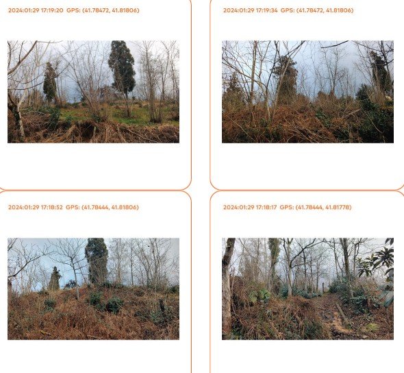 სასოფლო-სამეურნეო (სახნავი) მიწის ნაკვეთი, მუნიციპალიტეტი ქობულეთი, სოფელი კვირიკე