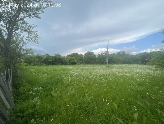 სასოფლო-სამეურნეო მიწის ნაკვეთი, მუნიციპალიტეტი თიანეთი, ადმინისტრაციული ერთეული ზარიძეები, ბლოკი N 182, ნაკვეთი N 004