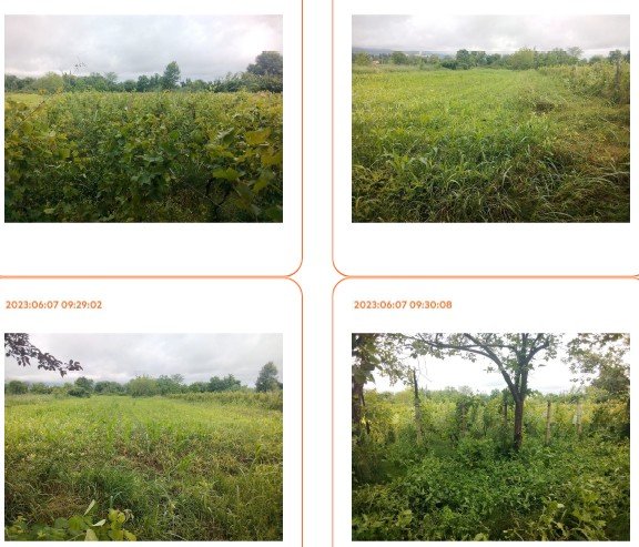 სასოფლო-სამეურნეო (სახნავი) მიწის ნაკვეთი, მუნიციპალიტეტი სიღნაღი, ქალაქი წნორი