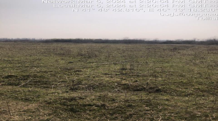 სასოფლო-სამეურნეო მიწის ნაკვეთი, რაიონი ლაგოდეხი, სოფელი გურგენიანი