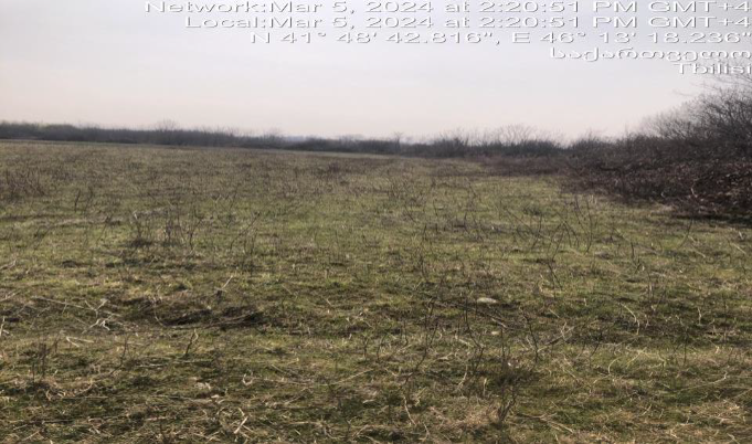 სასოფლო-სამეურნეო მიწის ნაკვეთი, რაიონი ლაგოდეხი, სოფელი გურგენიანი