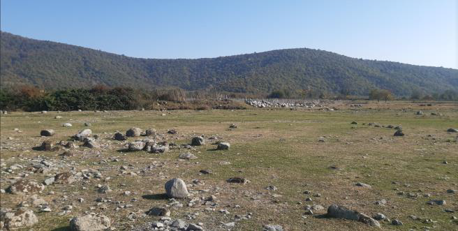 სასოფლო-სამეურნეო (სახნავი) მიწის ნაკვეთი, ლაგოდეხის მუნიციპალიტეტი, სოფელი განჯალა