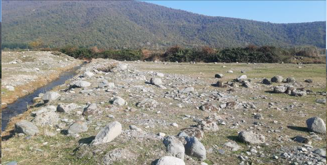 სასოფლო-სამეურნეო (სახნავი) მიწის ნაკვეთი, ლაგოდეხის მუნიციპალიტეტი, სოფელი განჯალა