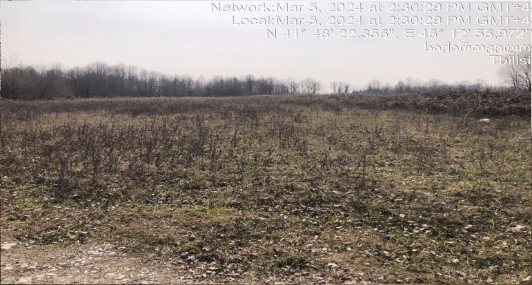 სასოფლო-სამეურნეო მიწის ნაკვეთი, რაიონი ლაგოდეხი, სოფელი განათლება