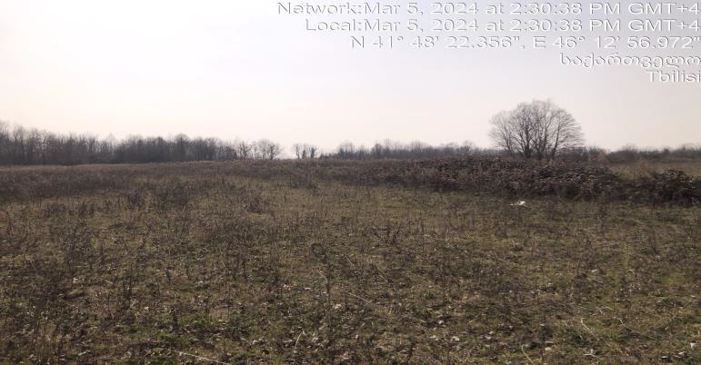 სასოფლო-სამეურნეო მიწის ნაკვეთი, რაიონი ლაგოდეხი, სოფელი განათლება