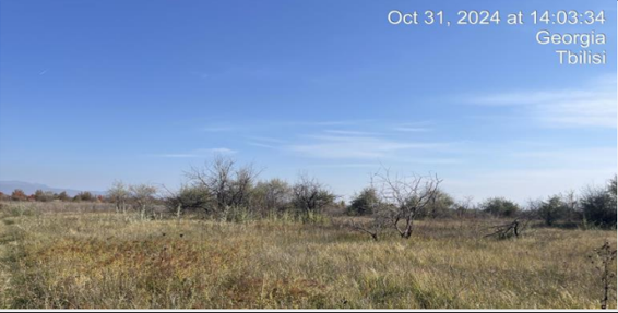 სასოფლო-სამეურნეო (საკარმიდამო) მიწის ნაკვეთი შენობით, მუნიციპალიტეტი გორი, სოფელი ქვემო ნიქოზი