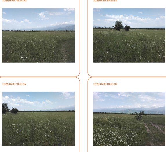 სასოფლო-სამეურნეო (სახნავი) მიწის ნაკვეთი, მუნიციპალიტეტი თელავი, სოფელი კონდოლი