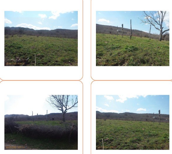 სასოფლო-სამეურნეო მიწის ნაკვეთი, მუნიციპალიტეტი სიღნაღი, სოფელი ძველი ანაგა