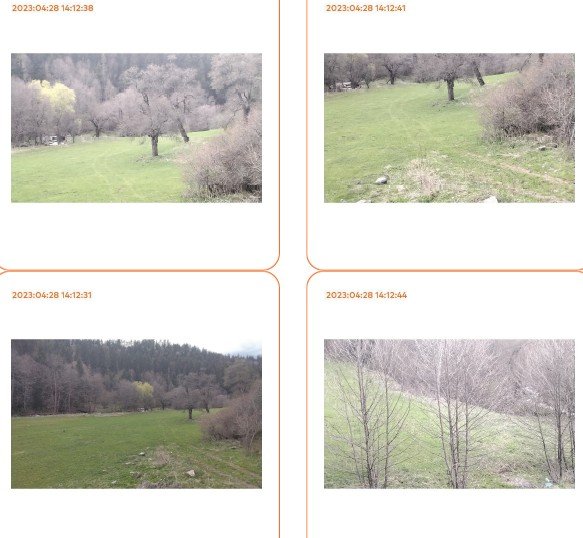 სასოფლო-სამეურნეო მიწის ნაკვეთი, მუნიციპალიტეტი ბორჯომი, სოფელი ტბა, (ყურუსების სათიბები)