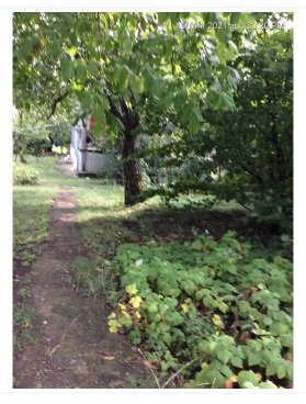 სასოფლო-სამეურნეო (საკარმიდამო) მიწის ნაკვეთი შენობით, ახალციხის მუნიციპალიტეტი, სოფელი ზიკილია, მე-3 ქუჩის I ჩიხი, N 2