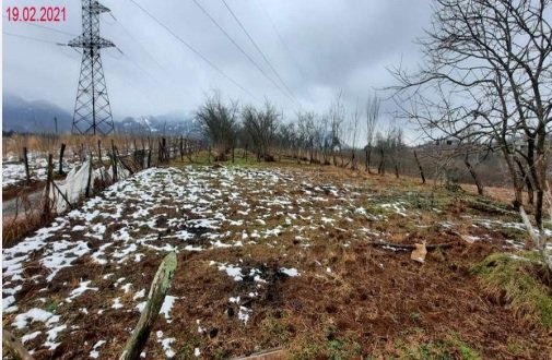 სასოფლო-სამეურნეო (საკარმიდამო) მიწის ნაკვეთი, ქობულეთის მუნიციპალიტეტი, სოფელი ქაქუთი