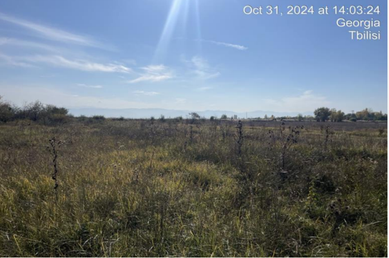 სასოფლო-სამეურნეო მიწის ნაკვეთი, მუნიციპალიტეტი გორი, სოფელი ქვემო ნიქოზი