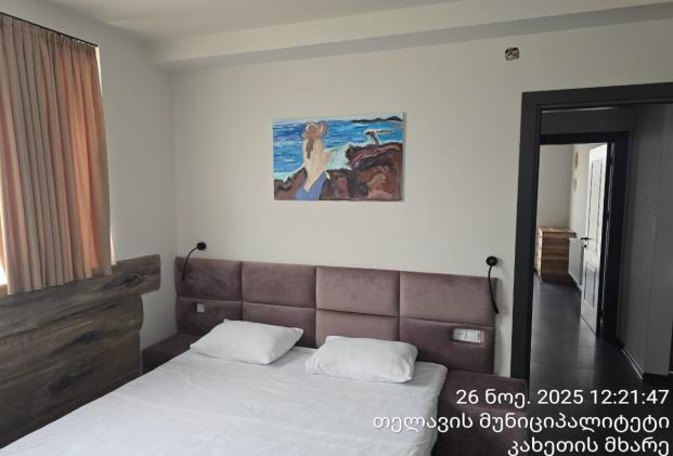 არასასოფლო სამეურნეო მიწის ნაკვეთი შენობით, თელავი, სოფელი ვარდისუბანი