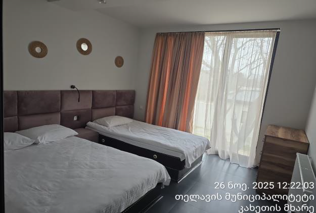 არასასოფლო სამეურნეო მიწის ნაკვეთი შენობით, თელავი, სოფელი ვარდისუბანი