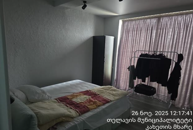 არასასოფლო სამეურნეო მიწის ნაკვეთი შენობით, თელავი, სოფელი ვარდისუბანი