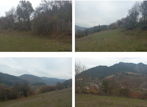 სასოფლო-სამეურნეო მიწის ნაკვეთი, მუნიციპალიტეტი ბორჯომი, სოფელი ყვიბისი