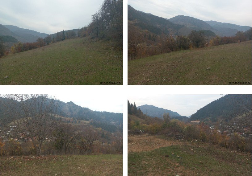 სასოფლო-სამეურნეო მიწის ნაკვეთი, მუნიციპალიტეტი ბორჯომი, სოფელი ყვიბისი