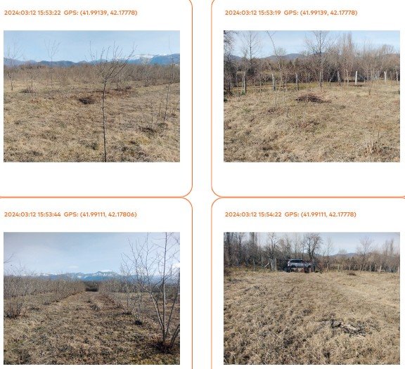 სასოფლო-სამეურნეო მიწის ნაკვეთი, მუნიციპალიტეტი ჩოხატაური, სოფელი ქვენობანი