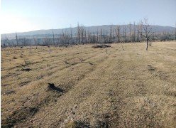 სასოფლო-სამეურნეო (სახნავი) მიწის ნაკვეთი, მუნიციპალიტეტი კასპი, ადმინისტრაციული ერთეული ოკამი, კვარტალი 34, ნაკვეთი 219