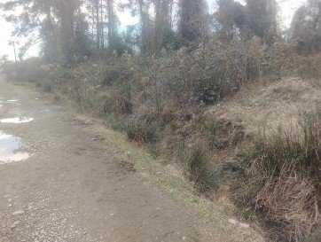 სასოფლო-სამეურნეო (სახნავი) მიწის ნაკვეთი, მუნიციპალიტეტი ოზურგეთი, სოფელი ნატანები, (ზვანი-შეკვეთილი)