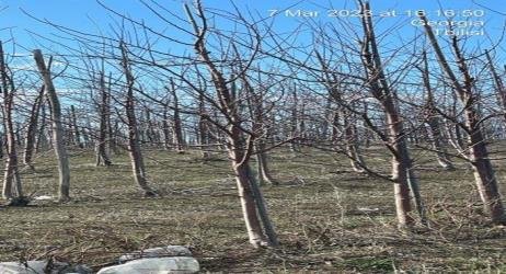 სასოფლო-სამეურნეო (სახნავი) მიწის ნაკვეთი, რაიონი ქარელი, სოფელი ფცა