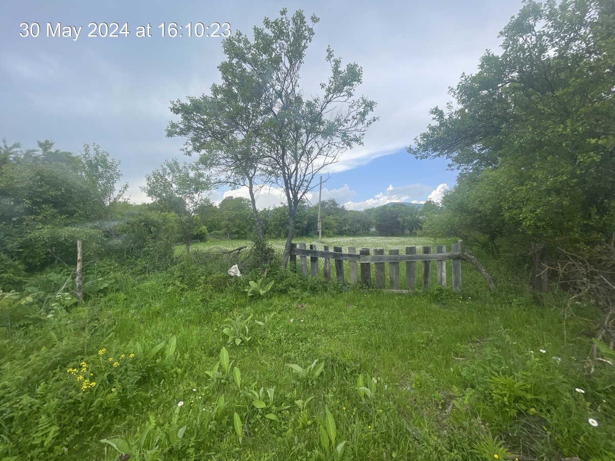 სასოფლო-სამეურნეო მიწის ნაკვეთი, მუნიციპალიტეტი თიანეთი, ადმინისტრაციული ერთეული ზარიძეები, ბლოკი N 182, ნაკვეთი N 004