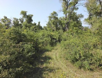 სასოფლო-სამეურნეო მიწის ნაკვეთი, მუნიციპალიტეტი მცხეთა, სოფელი მისაქციელი