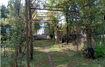 სასოფლო-სამეურნეო მიწის ნაკვეთი შენობით, ოზურგეთის მუნიციპალიტეტი, სოფელი მაკვანეთი, 1-ლი ქუჩა, N 37