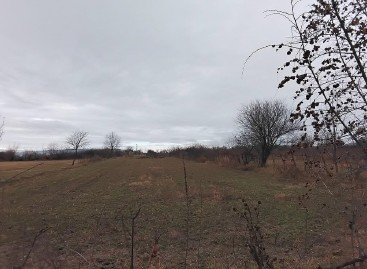 სასოფლო-სამეურნეო მიწის ნაკვეთი, მცხეთა, სოფელი ერედა