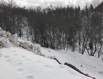 სასოფლო-სამეურნეო მიწის ნაკვეთი შენობით, ქობულეთი, სოფელი კვირიკე