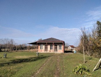 სასოფლო-სამეურნეო მიწის ნაკვეთი შენობით, სენაკის მუნიციპალიტეტი, სოფელი გოლასკური, მე-7 ქუჩა, N 5